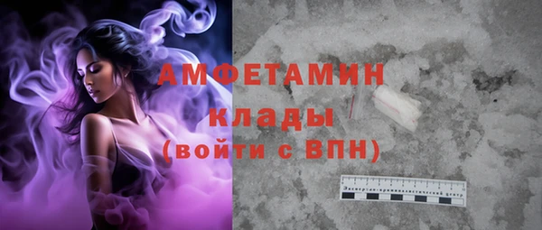 гашик Пестово