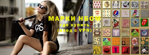 гашик Пестово