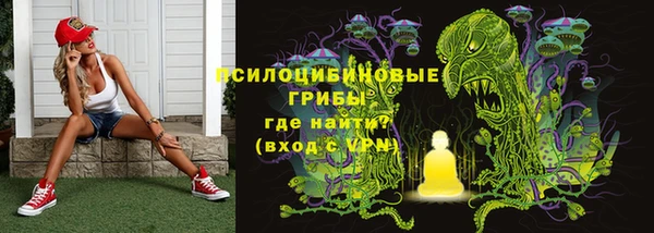 гашик Пестово