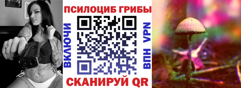Галлюциногенные грибы прущие грибы  Емва 
